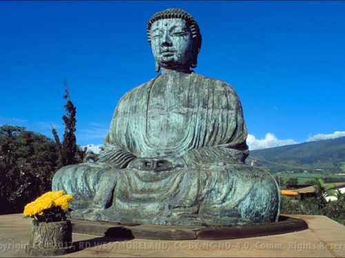 Buddha, Maui