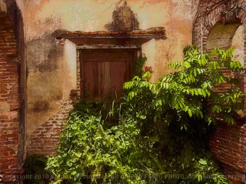 Caguas Gardens Ruins