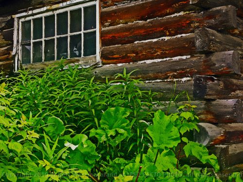 Talkeetna Cabin