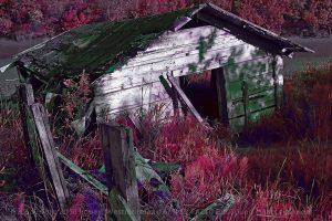 Abandoned Trapper's Cabin- Turnagain Arm, Alaska