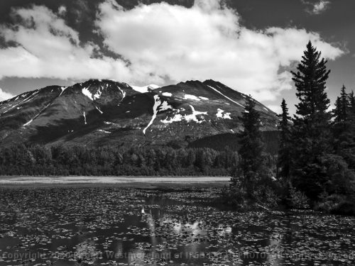 Kenai Pullout