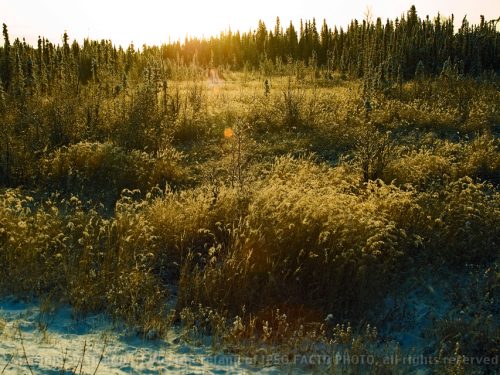 Sunrise in October, Kenai