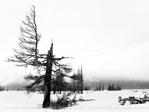 Portage Flats, Winter II