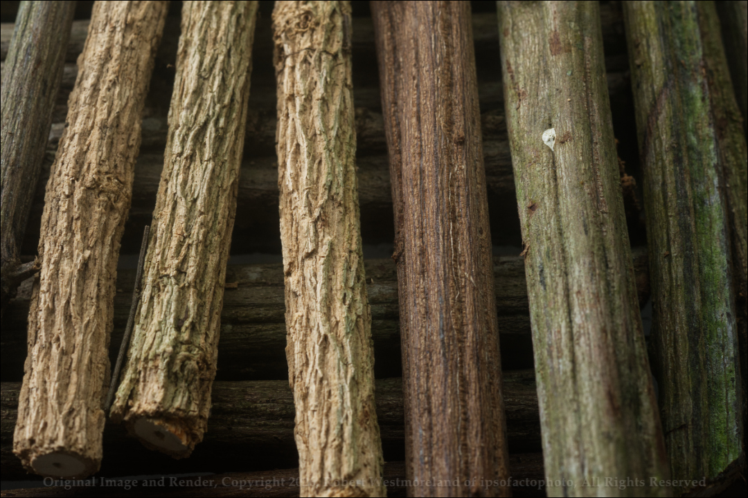 Assorted Cut Vines Detail