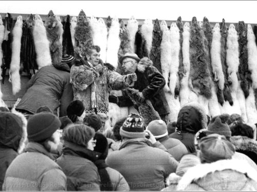 Fur Rondy Auction, Anchorage