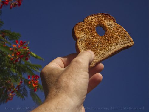 Holy Toast