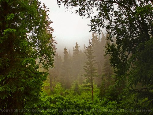 Into the Mist, Alaska