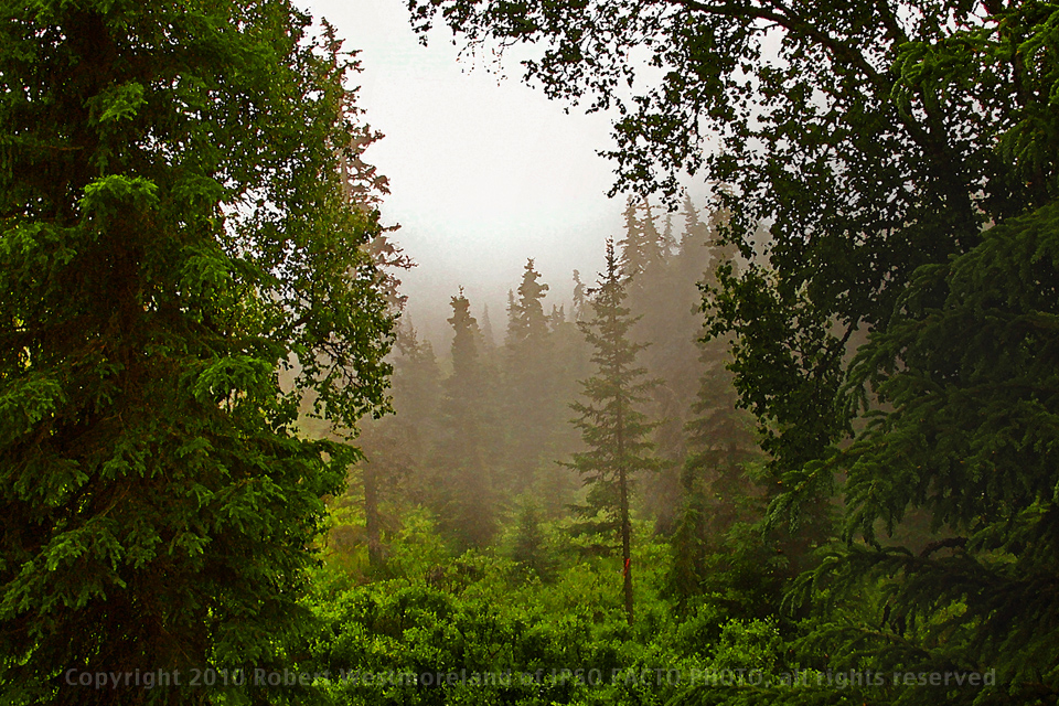 Into the Mist, Alaska