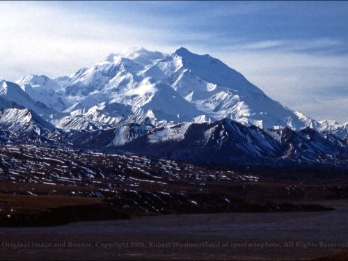 McKinley Vista