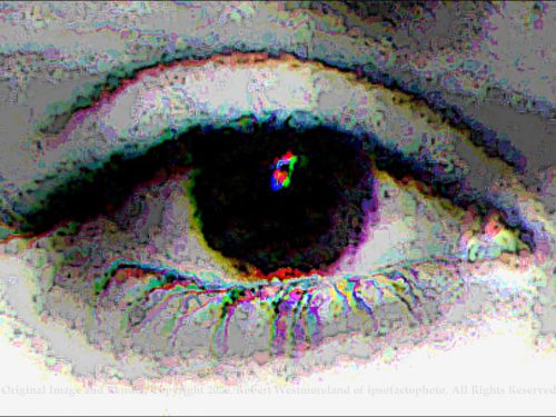 Pams Eye B&W Noise