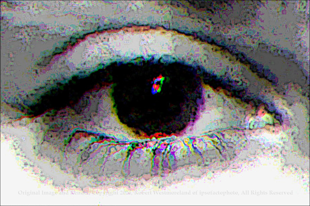 Pams Eye B&W Noise