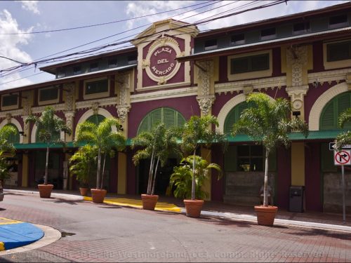 Mercado in Santurce I