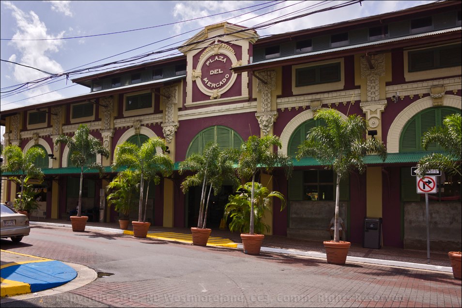 Mercado in Santurce I