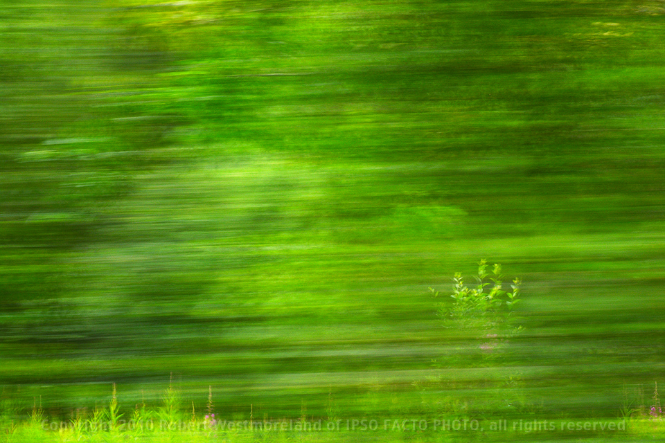 Roadside Blur Hatcher Pass