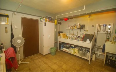 Part 1 of 2- A Darkroom in PR